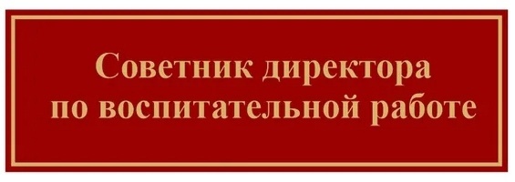 Советник директора по воспитательной работе